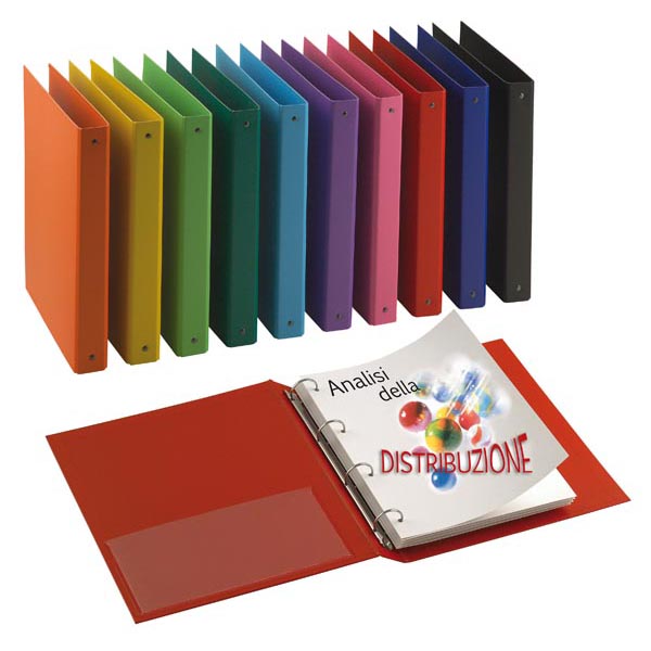 Raccoglitore Nettuno 30 A4 4r Colori Assortiti Sei Rota 368030 8004972019550