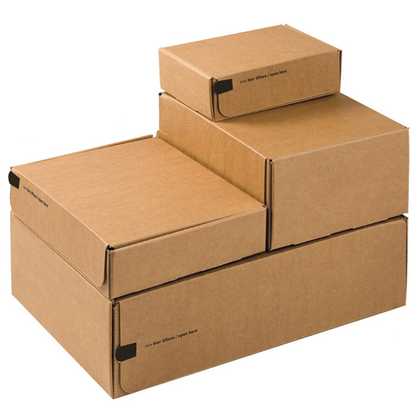 Scatole di imballaggio in cartone CF20, modulo da 1 a 4, dimensioni 19x15x9 cm 4033657060895 | initpc.it