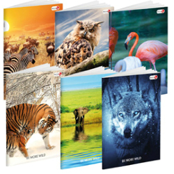 Maxiquaderno A4 36fg 2 100gr Rigo di 1a Wild Be More Special 2018 Bm Confezione da 10 Pezzi