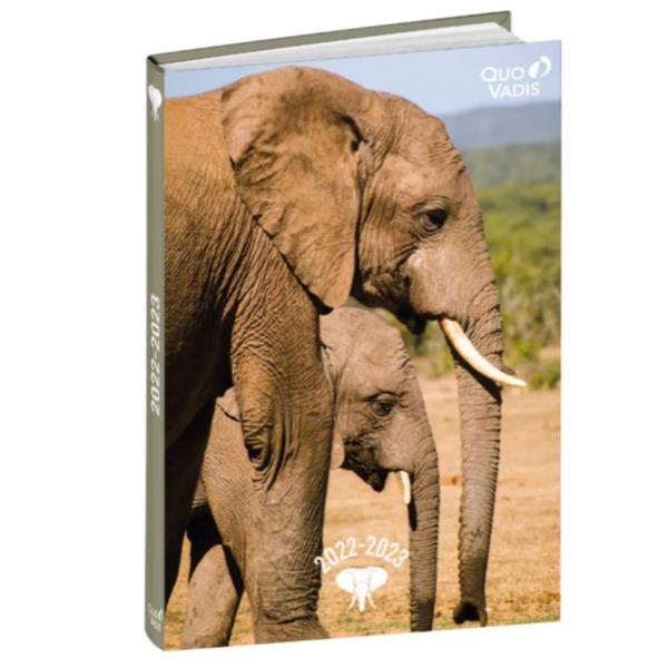 Ag Gior Text Amici Pack Quo Vadis 128134q 3371010196685