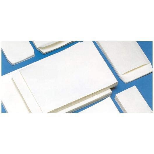 Sacco di plastica blu per buste, colore bianco, dimensioni 25x31cm, peso 80gr, marchio Blasetti. 8007758003323 | initpc.it