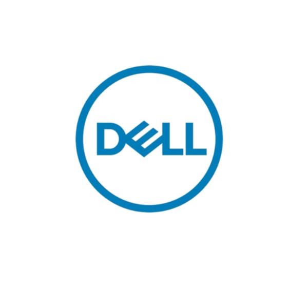 BOSS CONTROLLER CARD BLADE, marchio Dell Technologies, dispositivo di controllo per sistemi Blade di alta prestazione. 5397184660218 | initpc.it