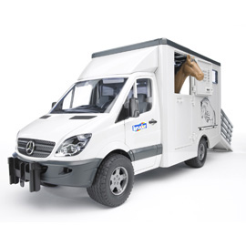 Furgone Mercedes Benz Sprinter Trasporto Animali con 1 Cavallo