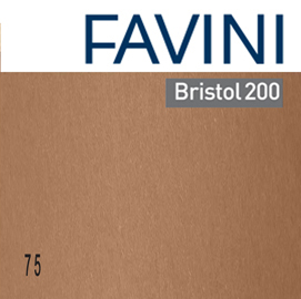 Conf 10 Cartoncino Bristol Color 200gr 100x70cm Marrone 75 Favini A3580a1 8007057590203