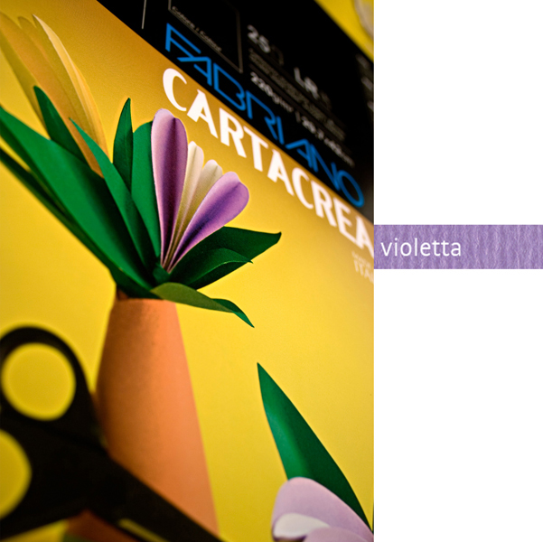 Blister 10fg Cartoncino 35x50cm 220gr Violetta Cartacrea Fabriano 46435124 8001348127765