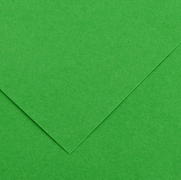 Canson foglio colorline 70x100cm 220gr verde brillante carta artistica 3148954227320