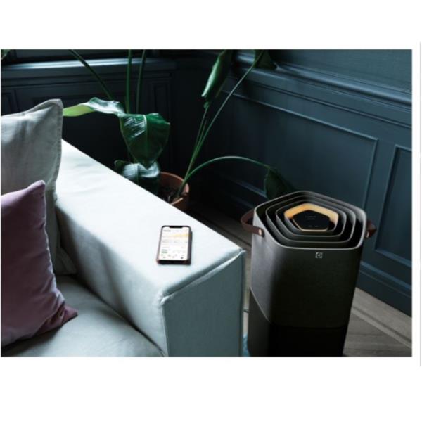 Purificatore Pa91 404dg Darkgrey Electrolux 950011384 7332543636570