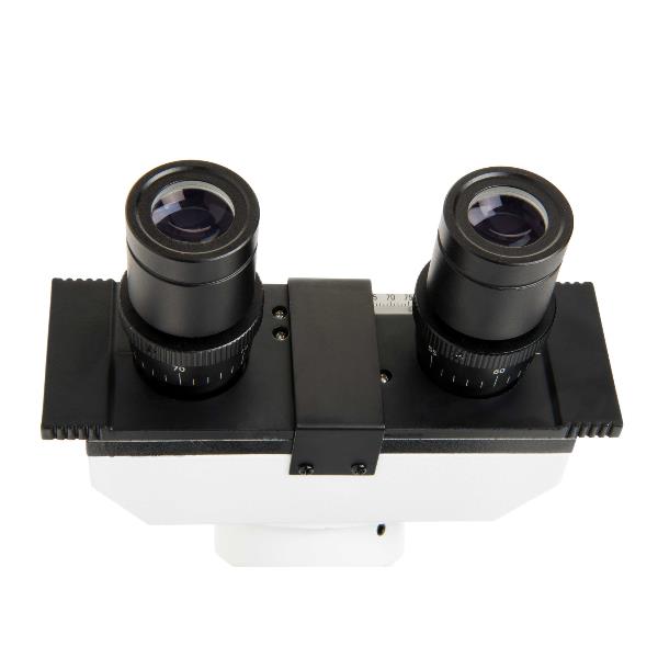 Microscopio Labs Cb2000cf Celestron Cm44131