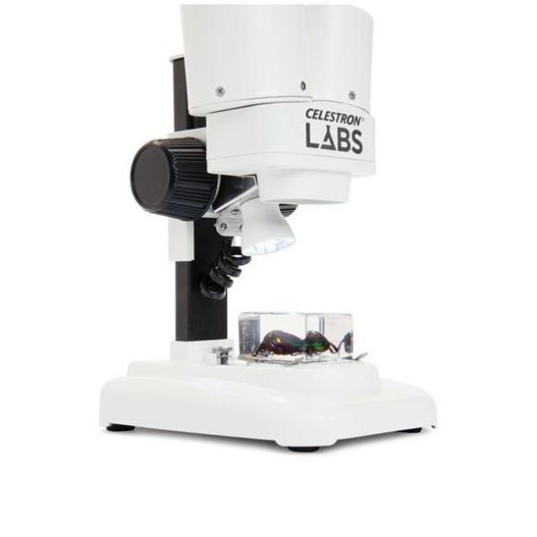 Microscopio Labs S20 Celestron Cm44207 50234442077