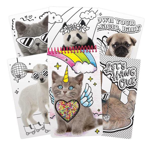 Fur Real Album da Disegno di alta qualità per bambini, progettato da Crayola per promuovere la creatività e l'immaginazione. Alcuni elementi includono animali pelosi che si possono accudire. 0787909125415 | initpc.it