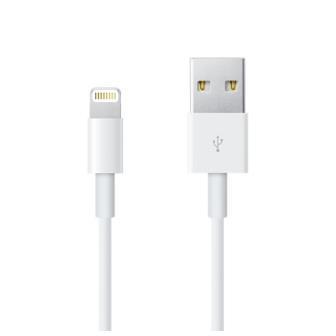 Lightning To Usb Cable 0 5 M Apple Me291zm a 885909707973