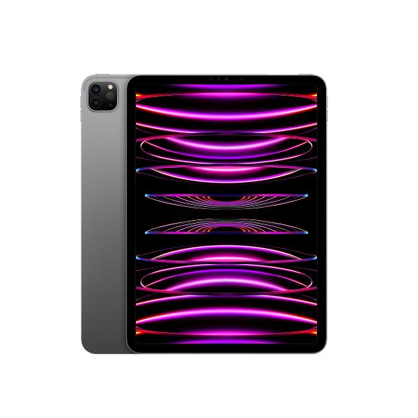 IPad Pro 11 pollici, WiFi, 1 TB di archiviazione, grigio. 0194253266327 | initpc.it