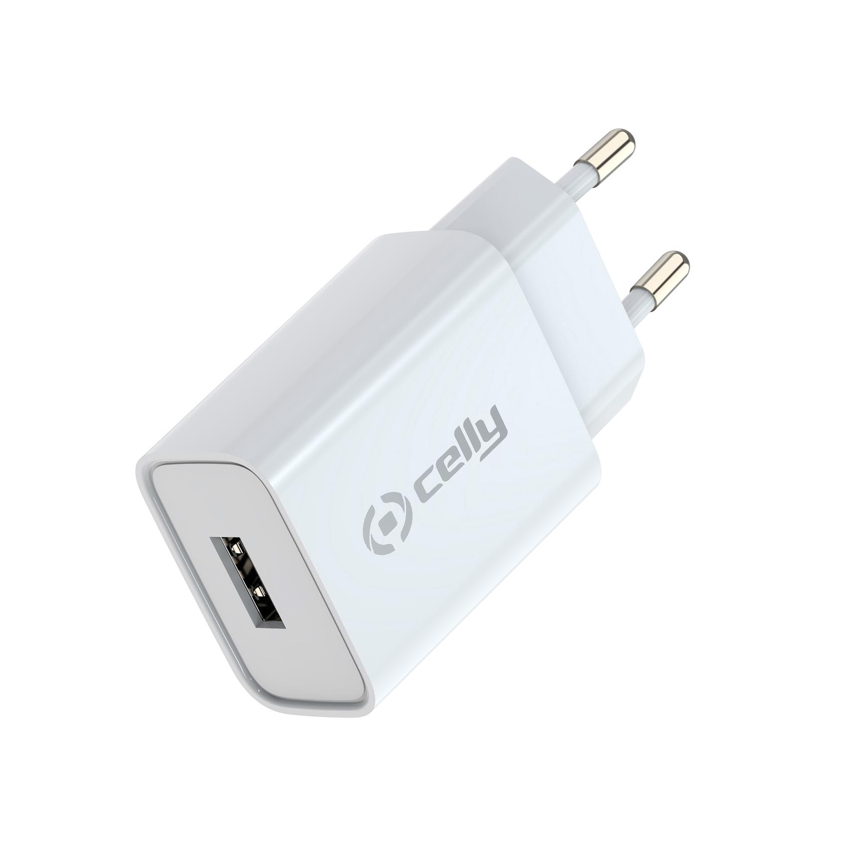 Caricatore da viaggio RTG con uscita USB 2,1A e potenza di 10W per caricare dispositivi come smartphone e tablet in modalità veloce. 8021735196143 | initpc.it