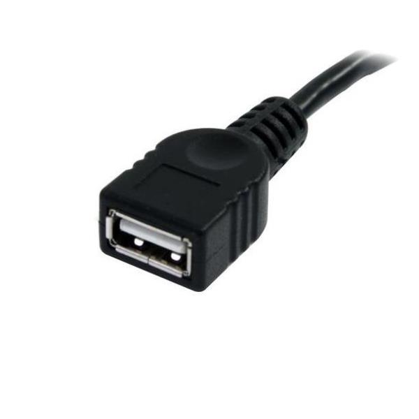 Cavo prolunga USB 2.0 da 1,8m di Startech 0065030840811 | initpc.it