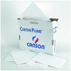 Fg Carton Plume Cl A3 5mm Bianc Canson C205154223 3148954247380