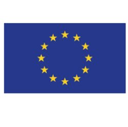 Bandiera Europa 100x150cm in Poliestere Nautico Bae150 8871901500126