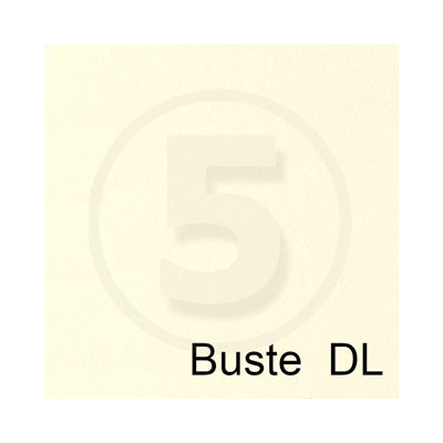 Busta 11x22 tintoretto gr.95 pz.25 avorio