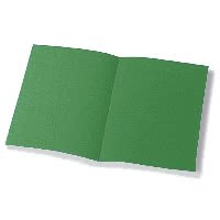 Cartellina Bristol semplice pz.50 verde