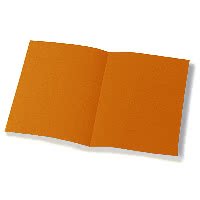 Cartellina Bristol semplice pz.50 arancio