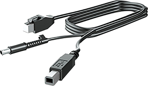 HP 300CM DP CABLE
