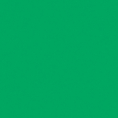 Carta Rex lavabile mt.5 tinta unita verde