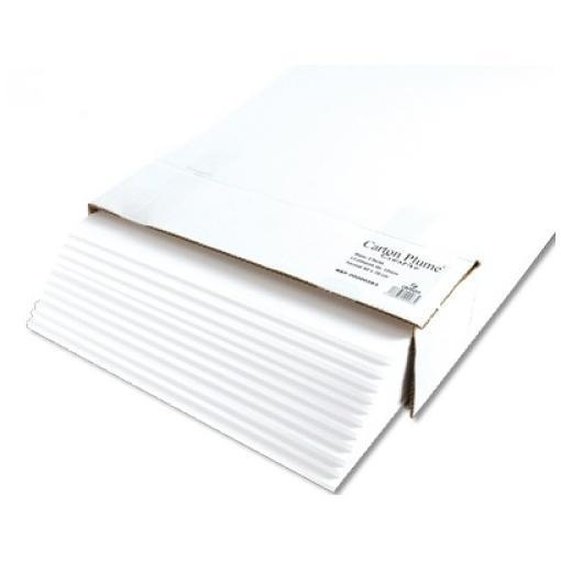Cartone mousse trasparente 3mm da disegno, marca Canson, misura 50x70 cm. 3148954200385 | initpc.it