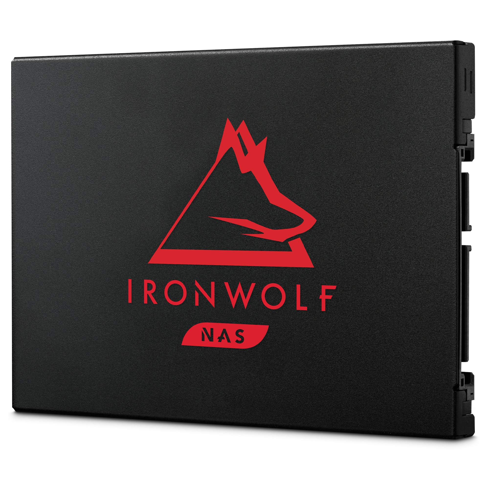 IRONWOLF 125 SSD 500GB RETAIL