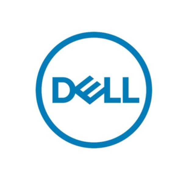 Dispositivo di memoria a stato solido per server con tecnologia SAS e supporto a protocollo FIP, marchio Dell Technologies. 5397184822371 | initpc.it