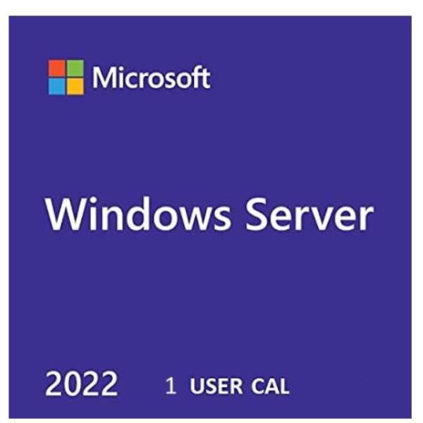 MS WS22 1USR CAL WW LTU