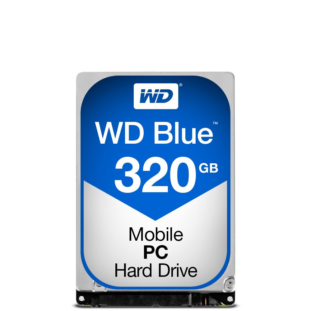 320 GB HARD DISK