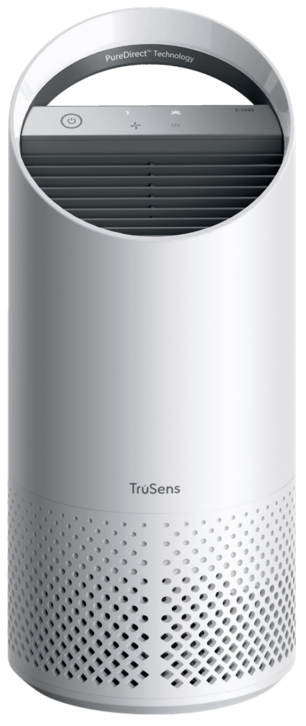 Purificatore per uso personale, marchio Leitz 5028252617123 | initpc.it