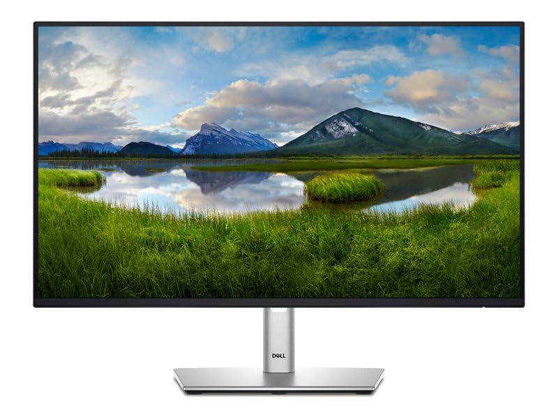 Dell monitor 24 pollici con hub usb-c p2425he 5397184821725