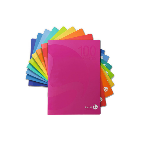 Quaderni a4 100g/m² rigatura c 18 fogli 9 colori 8008234011023