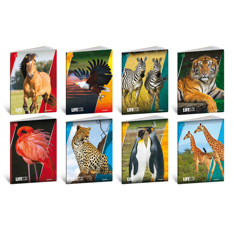 Quaderno blasetti life a4 da 100 g/m² con rigatura di 5 mm 7479