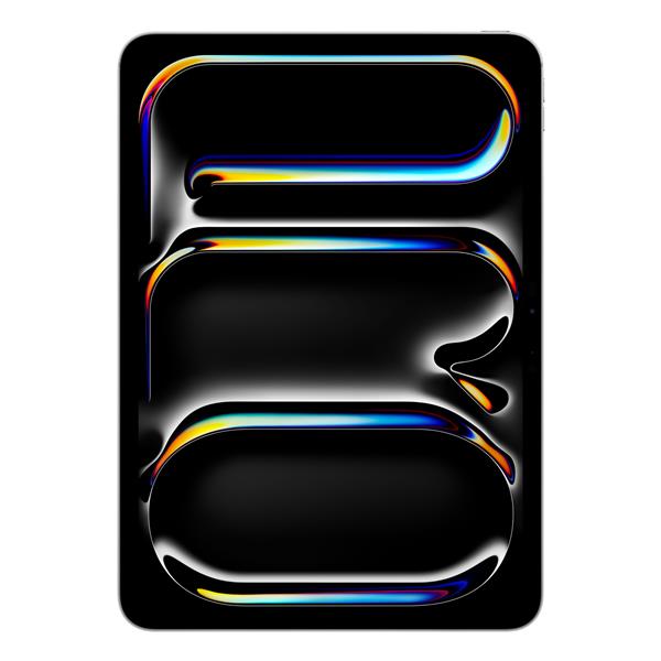 Ipad pro 11 pollici wi-fi 512gb argento 0195950396140