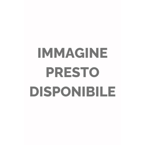 Shopper saemec tanti auguri con chiudipacco da 60 pezzi regalo 8009572048740