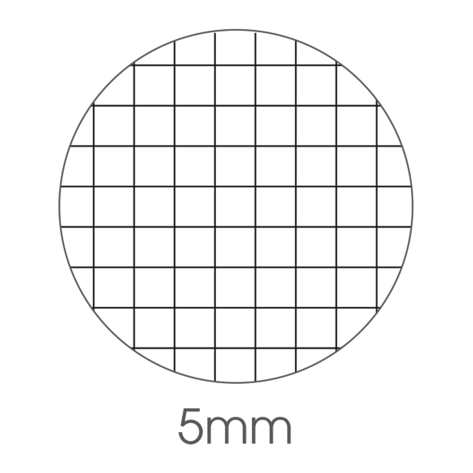 Maxiquaderno Be More Manga - A4 - 5mm - alta fogliazione - 48+2 fogli - 100 gr - BM