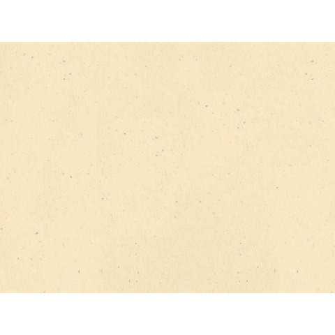 Tovaglietta Ristocart in carta paglia neutra tinta in massa 30x40 cm conf. 250 pz verde - WRTVT1138